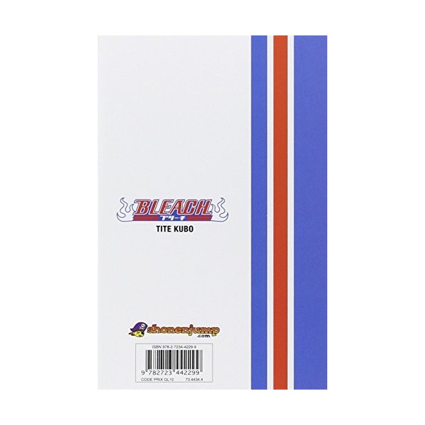 Bleach - Tome 03: Memories in the rain