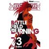 Bleach - Tome 73: Battlefield burning