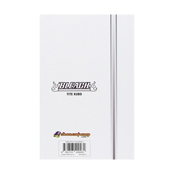 Bleach - Tome 59: The battle