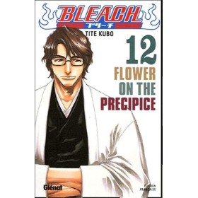 Bleach - Tome 12: Flower on the precipice