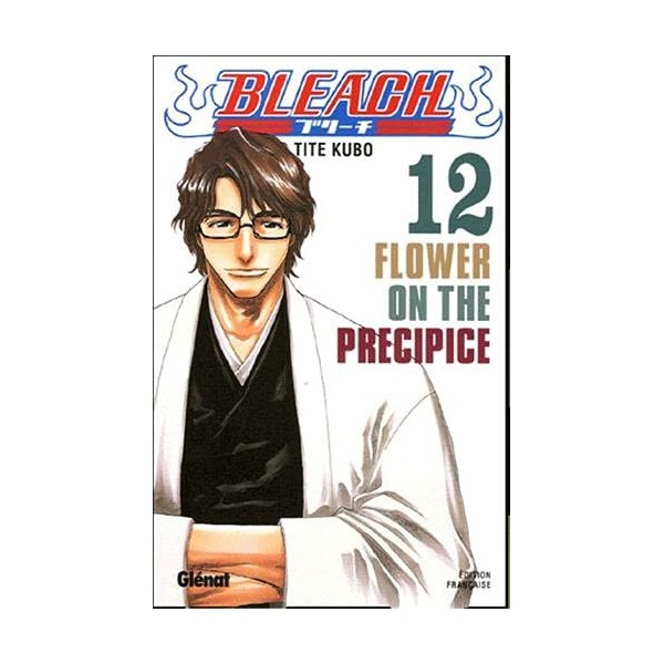 Bleach - Tome 12: Flower on the precipice
