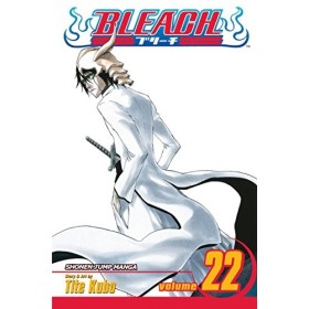 Bleach Volume 22
