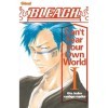 Bleach Roman - Cant Fear Your Own World - Tome 01