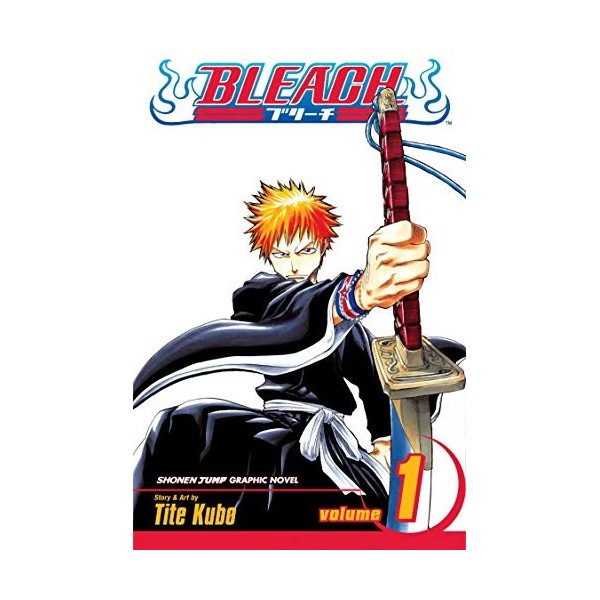 Bleach Volume 1