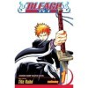 Bleach Volume 1