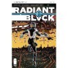 Radiant Black 25 English Edition 