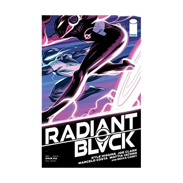 Radiant Black 11 English Edition 
