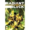 Radiant Black 18 English Edition 
