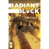 Radiant Black 20 English Edition 