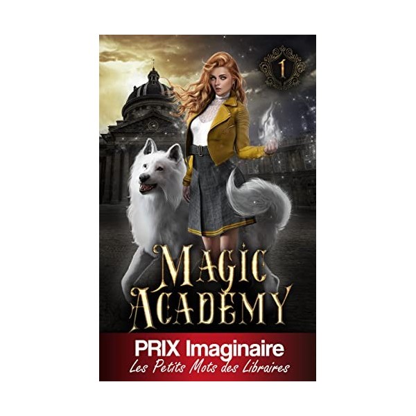 La magie oubliée Magic Academy édition française t. 1 
