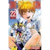 ONE-PUNCH MAN - tome 22 22 