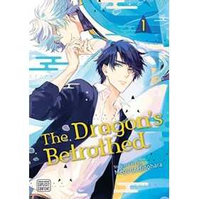 The Dragons Betrothed, Vol. 1 Yaoi Manga English Edition 