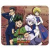 ABYSTYLE - Hunter X Hunter - Tapis de Souris Souple - Groupe