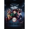 Crunchyroll Demon Slayer-Kimetsu no Yaiba Puzzle, 448/88946, Argent Silver 