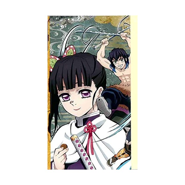 Demon Slayer : Le Guide officiel des personnages de lanime T02