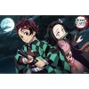 Trends International Demon Slayer-Tanjiro & Nezuko Poster mural, 56, 8 x 86, 4 cm, version sans cadre RP21459