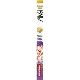 Magi - The Labyrinth of Magic - tome 29 29 
