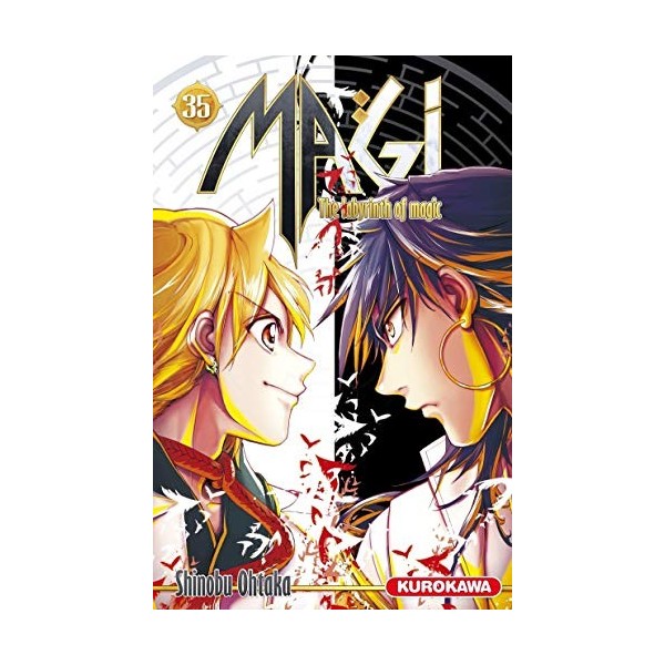 Magi - The Labyrinth of Magic - tome 35 35 