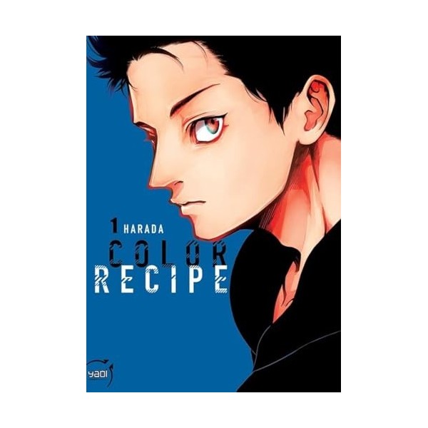 Color Recipe T01 NED 