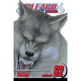 Bleach Volume 62