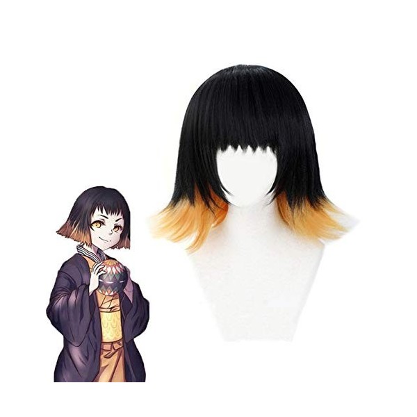 Démon Slayer Kimetsu No Yaiba Susamaru perruque Cosplay Costume noir jaune dégradé haute température Fiber cheveux perruque +