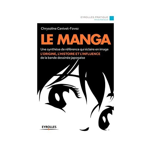 Le manga : Une synthèse de référence qui éclaire en image lorigine, lhistoire et linfluence de la bande dessinée japonaise