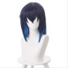 DIDADA wig Demon Slayer Hashibira Inosuke Cosplay Wigs Kimetsu No Yaiba Cosplay Blue Wig Heat Resistant 16inches Multi Color