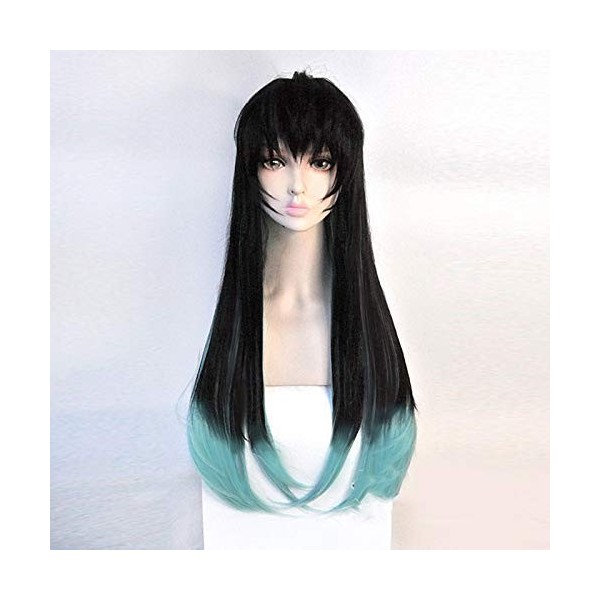 Anime Demon Slayer : Kimetsu no Yaiba Tokitou Muichirou Perruques en cheveux synthétiques longs dégradés résistants à la chal