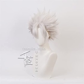 HTDYLHH Shinazugawa Sanemi Perruque de coiffure, perruque anime Demon Slayer Kimetsu No Yaiba Cheveux synthétiques courts arg