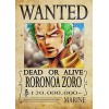 Poster One Piece Franky Roronoa Anime Manga Zoro