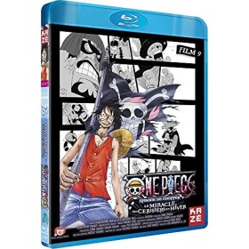 One Piece-Le Film 9 : Episode de Chopper : Le Miracle des Cerisiers en Hiver [Blu-Ray]