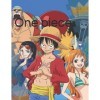 One piece: manga. Assumptions