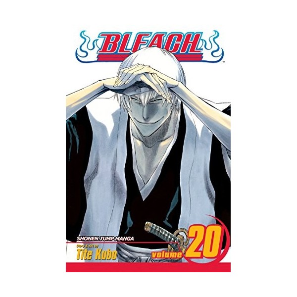 Bleach Volume 20