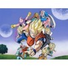 Dragon Ball Z - Intégrale Box 3 : Saga de Buu