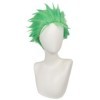 COSPLAZA One Piece Roronoa Zoro hommes herbe vert peluche perruque anime cosplay costume perruque