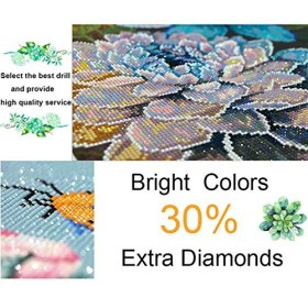 nzhma 5D DIY Animation One Piece Diamond Painting, kit de Point de Croix en Cristal Strass, Artisanat en mosaïque pour la déc