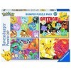 Pokemon Puzzle 4x100pcs