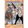 FAIRY TAIL 31