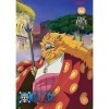 One Piece: Collection 31 Episodes 747-770 [DVD]