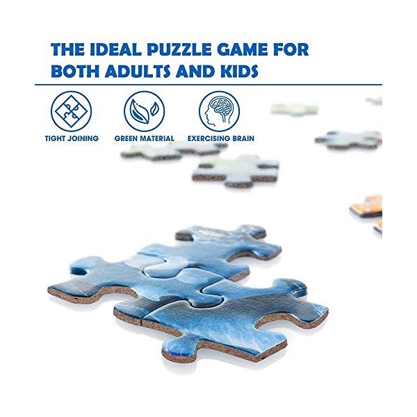 TTbaoz Jigsaw Puzzle 1000 pièces One Piece Paper Puzzle Enfants Jouet Cadeau 70 * 50 cm