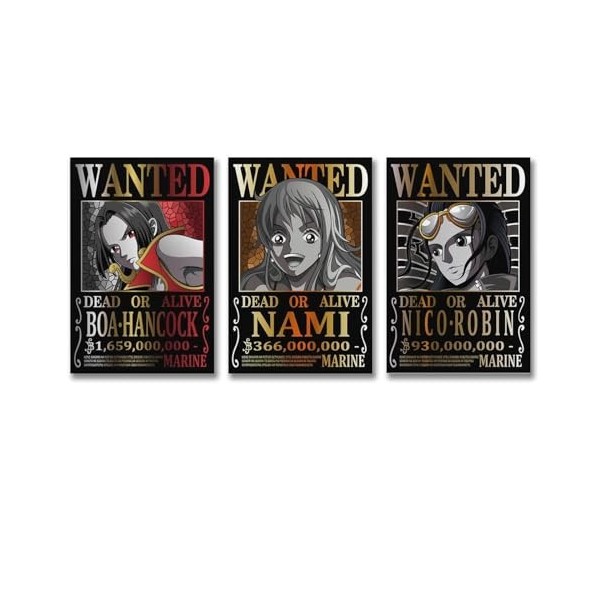 Poster One Piece Wanted de Nami Robin Hancock - Impression sur toile - 40 x 60 cm