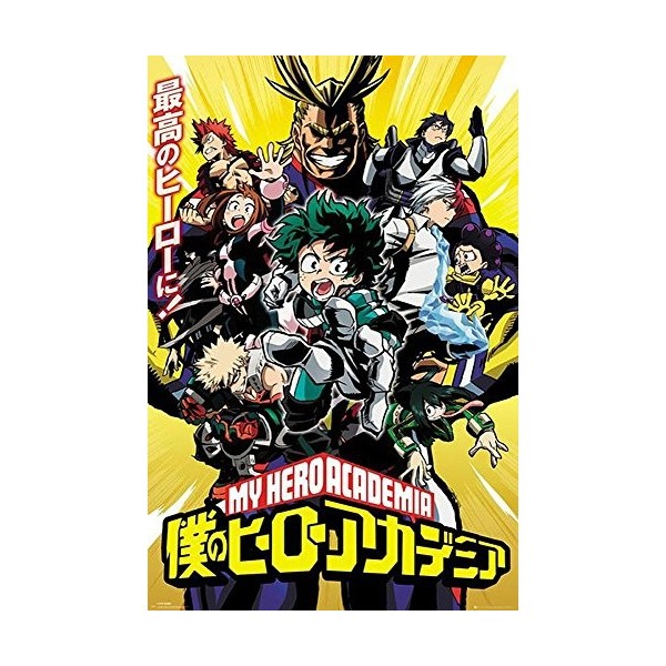 My Hero Academia Poster Personnages 61cm x 91,5cm + 2 tringles transparentes avec suspension