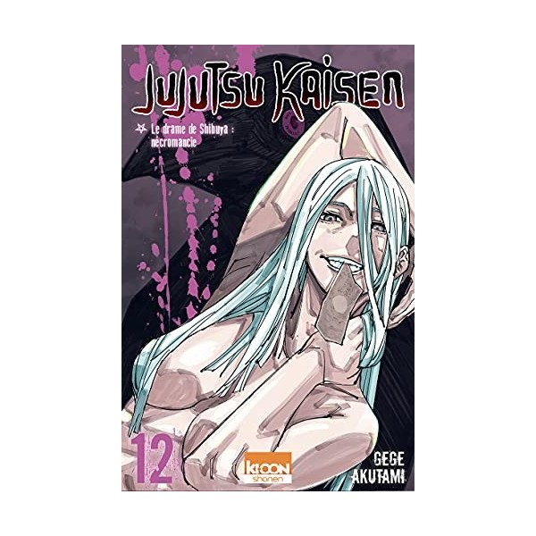 Jujutsu Kaisen T12 12 