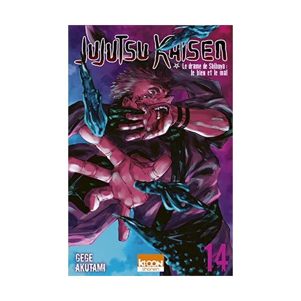 Jujutsu Kaisen T14