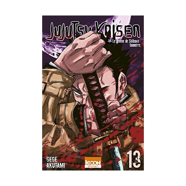Jujutsu Kaisen T13