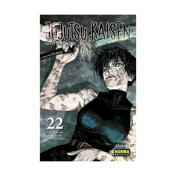 JUJUTSU KAISEN 22
