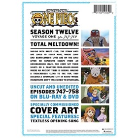 One Piece: Season 12 Voyage 1 [Blu-Ray]