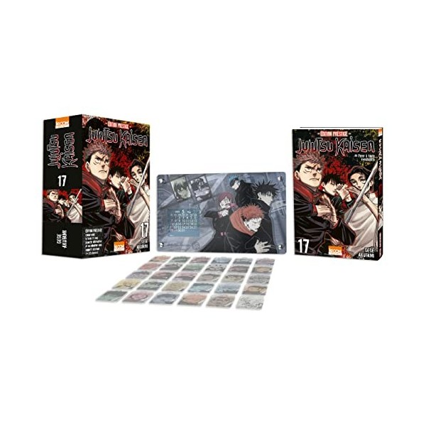 Jujutsu Kaisen T17 - Edition prestige
