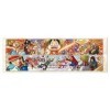 One Piece Jigsaw Puzzle ~ Four Seasons of Straw Hat Crew Autumn & Winter Exhibition Japan Import 