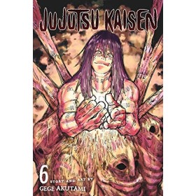 Jujutsu Kaisen, Vol. 6: Black Flash English Edition 